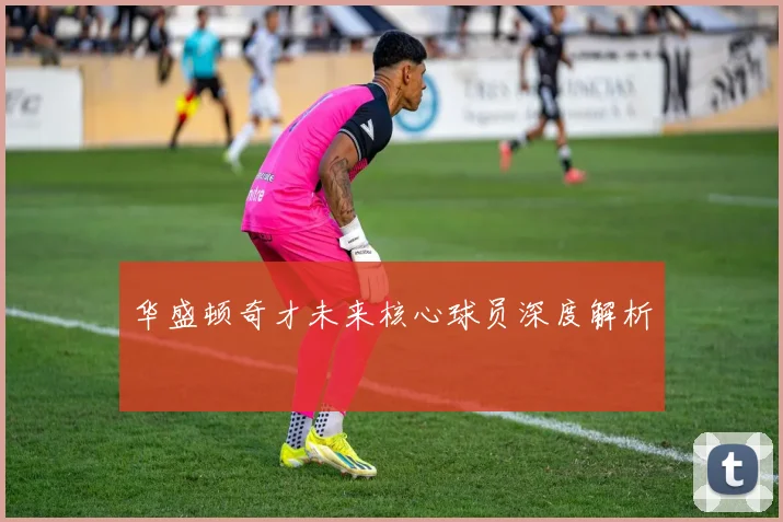 华盛顿奇才未来核心球员深度解析