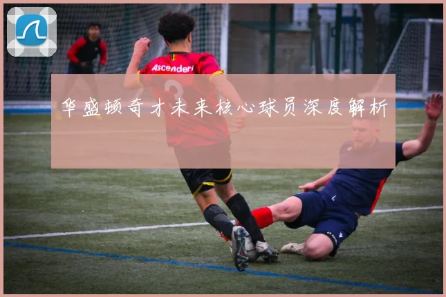 华盛顿奇才未来核心球员深度解析