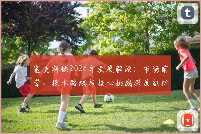 塞克斯顿2026年发展解读:市场前景、技术路线与核心挑战深度剖析