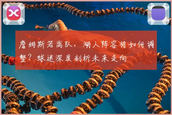 詹姆斯若离队,湖人阵容将如何调整?球迷深度剖析未来走向